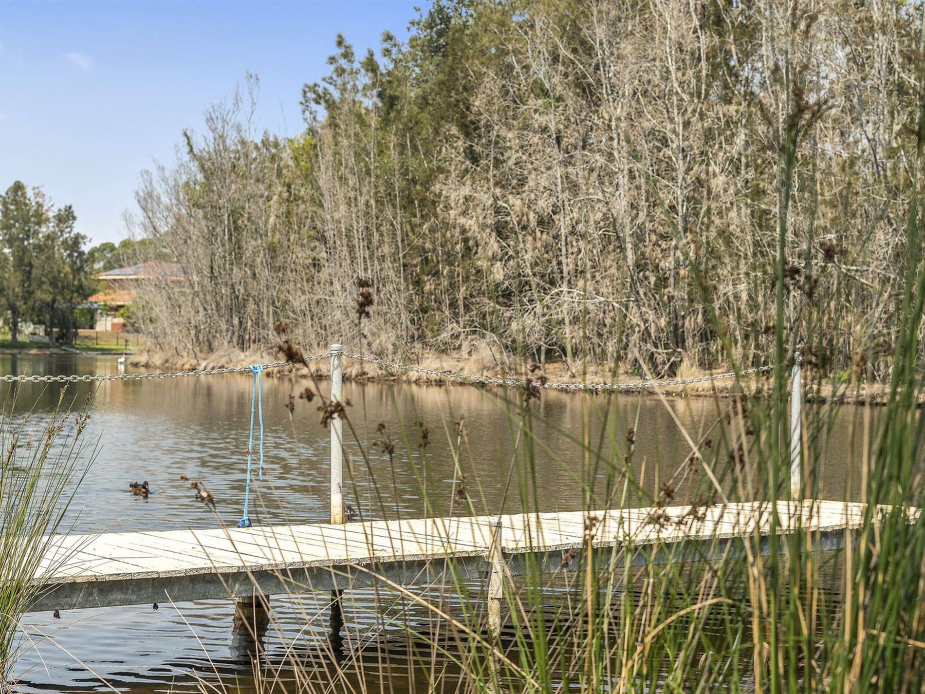 11 Aney Street, Lake Conjola