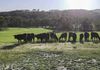 660 Kerrs Creek Road, Kerrs Creek