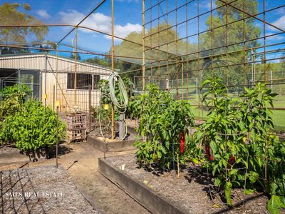 471 Mount Darragh Road, Lochiel