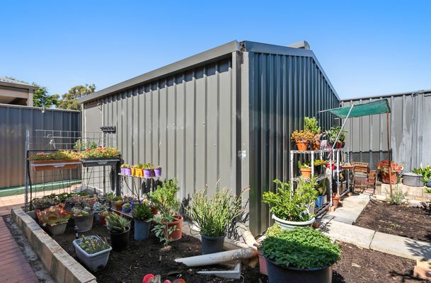 17 Bettong Street, Baldivis