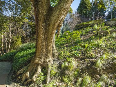 24 Ryans Parade, Mount Macedon