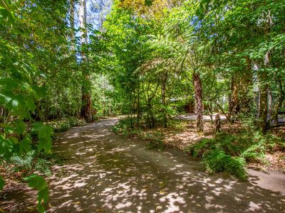 4202 Mansfield-Woods Point Road, Jamieson