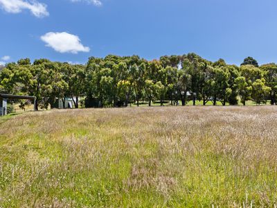 59 Sandfly Road, Margate