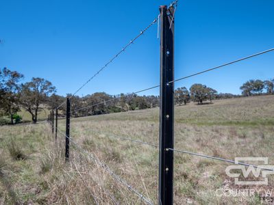 954 Bullock Mountain Road, Glen Innes