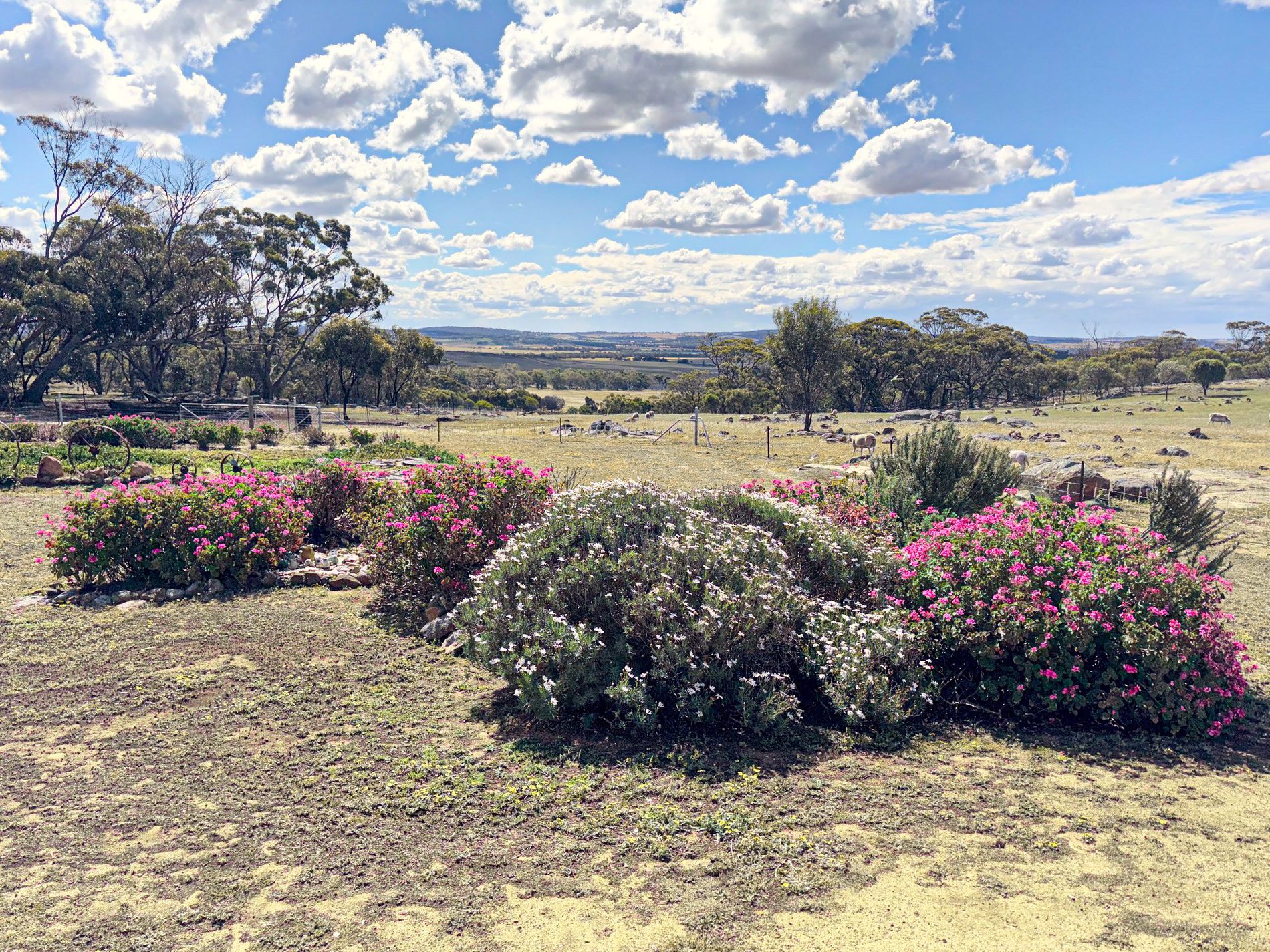 803 Snows Road, Gillimanning
