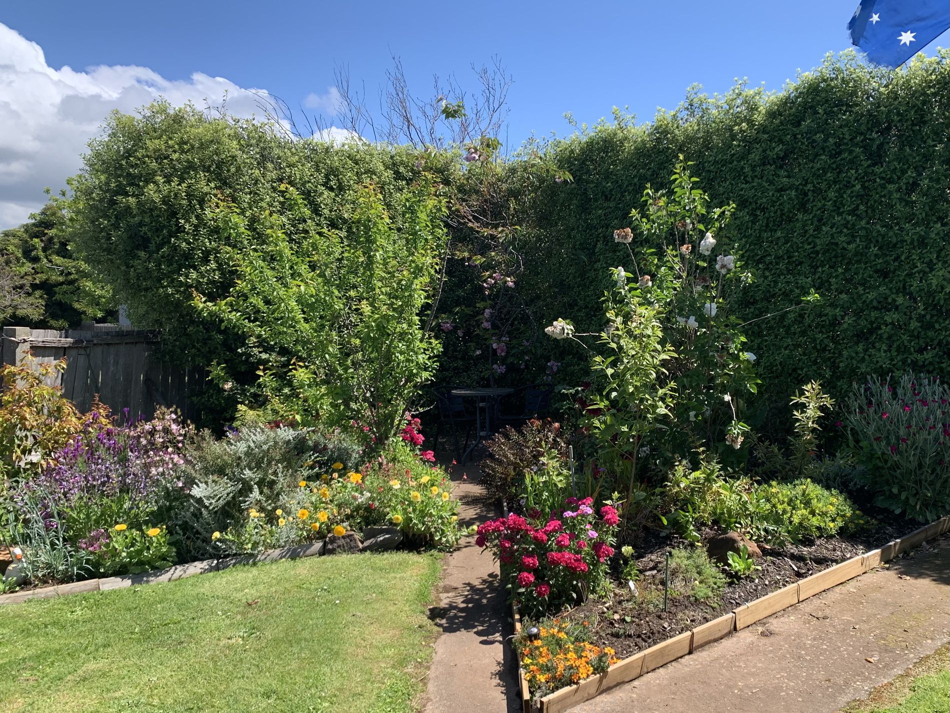 7 Raymond Avenue, Devonport