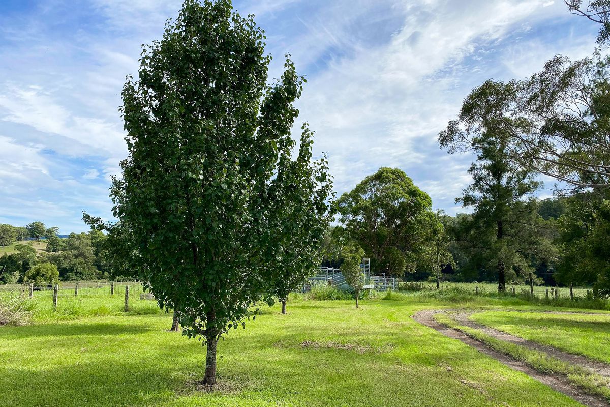 1012 Wherrol Flat Road, Wherrol Flat