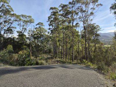 77 Grovenor Rise, Grove