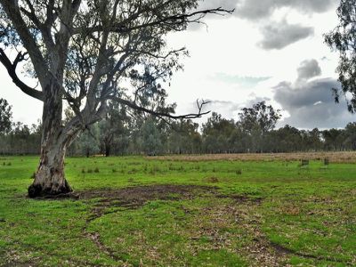 63 Range View Drive, Jindera