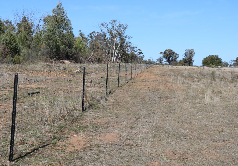 Back Trundle Road, Parkes