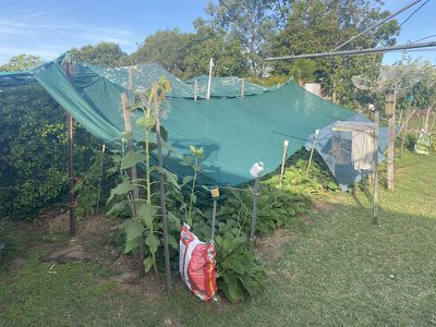 16 Cairns Street, Nanango