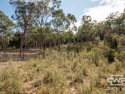 2126  Emmaville Road, Glen Innes