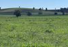 117 HILLSIDE LANE, Daroobalgie