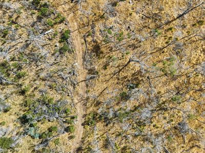 75 Prossers Forest Road, Ravenswood