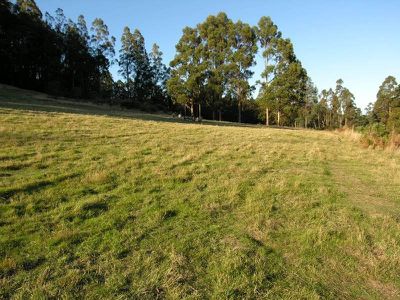 Palmers Road, Oyster Cove