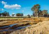 1918 Cavendish-Glendinning Road, Gatum