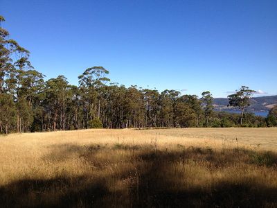 Lot 2, 49 Wills Road, Abels Bay