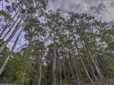 172 Goodwins Road, Upper Woodstock