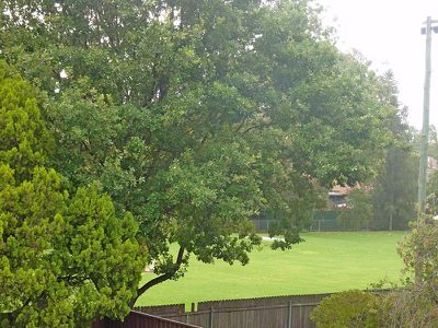 9 / 1 Bryant St, Narwee