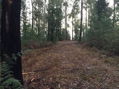 D3380 Princes Highway, Jerrawangala