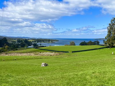 Lot 1 Esperance Road, Southport