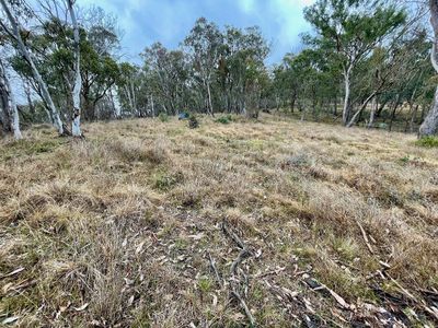 Lot 231, Wollun Road, Walcha Road