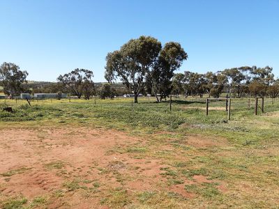 100 Withers street, Northam