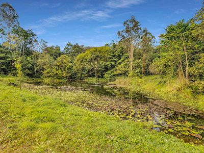 10 / 78 Cecil Street, Nimbin