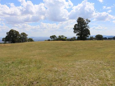 175 Ambrose Drive, Tolmie