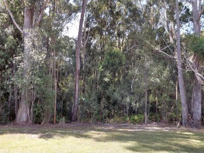 14 Callistemon Court, Ulladulla