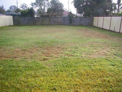 44 Selwyn Street, North Booval
