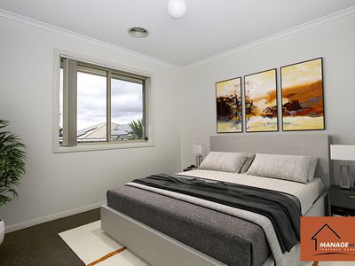 8 RENFREE STREET, Casey