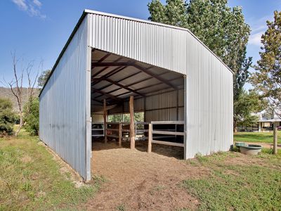 Lot 1, 157 Jingellic Road, Jingellic