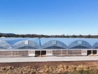 181 Patrick Estate Road, Patrick Estate