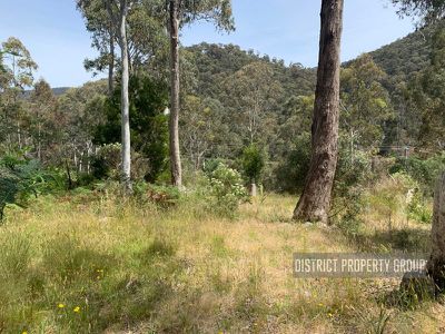 25 Christensen Street, Sawmill Settlement