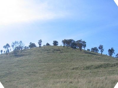 222 GIBB ROAD, Toolleen