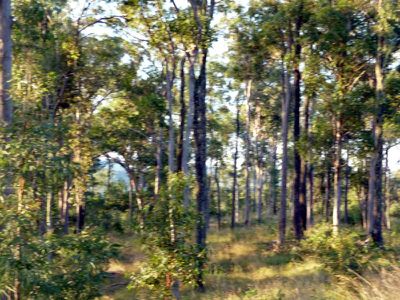 Kandanga Creek