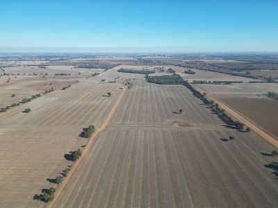 1501 Howlong-Goombargana Road, Brocklesby