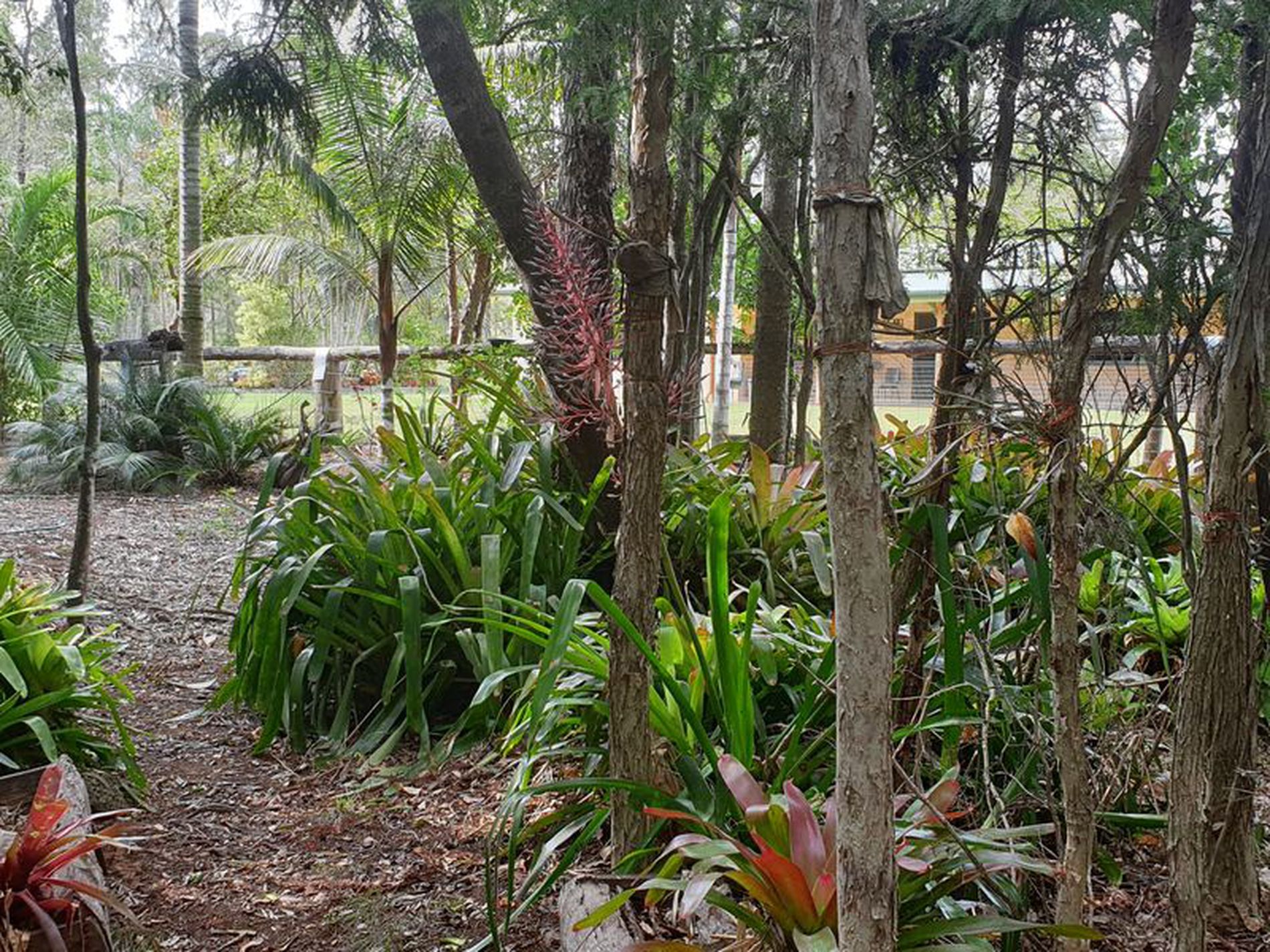 105 Choota Dr, Antigua