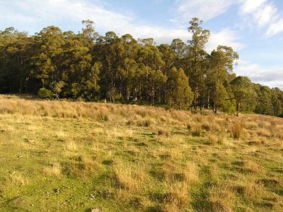 1 Halls Track Road, Pelverata