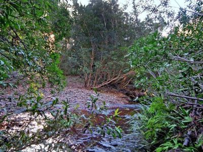 D3380 Princes Highway, Jerrawangala