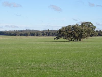 351 Tattersalls Lane, Moormbool West
