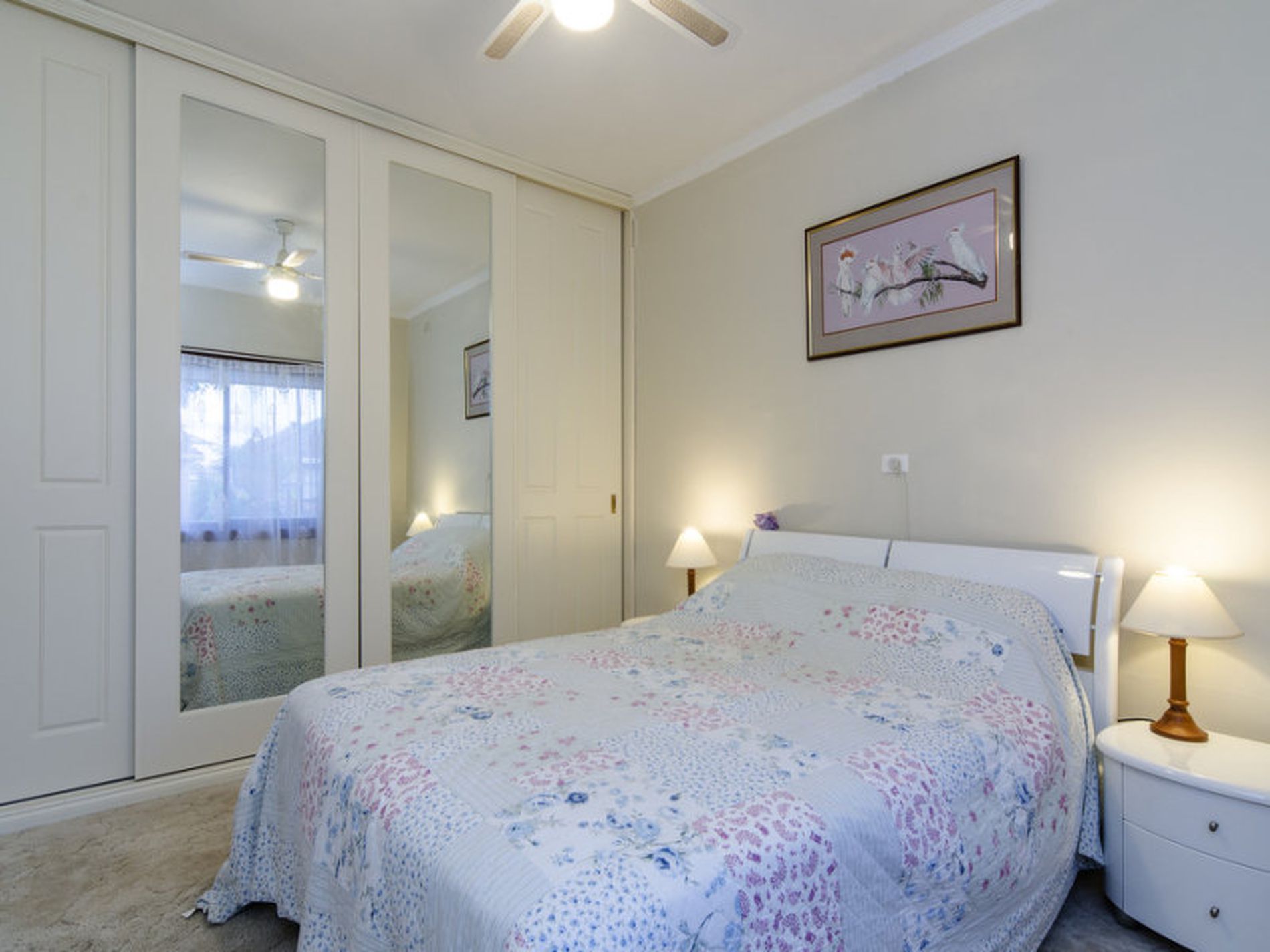 62 Dingera Street, North Plympton