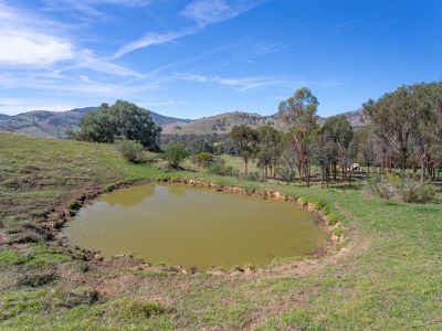 LP 134125 Omeo Highway, Tallangatta