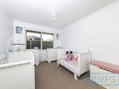 1 / 3 Normanby Street, Sydenham