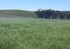 117 HILLSIDE LANE, Daroobalgie
