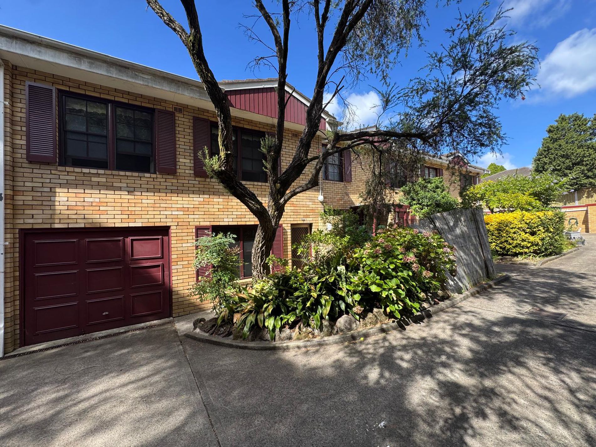 10 / 47 Alt Street, Ashfield