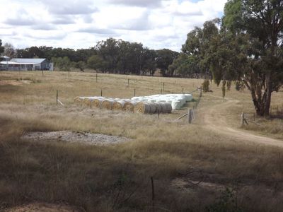 Glen Innes Road, Emmaville