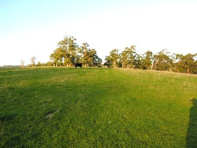 Brown Road, Lower Wattle Grove