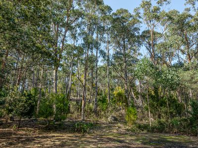 132 Judds Creek Road, Judbury